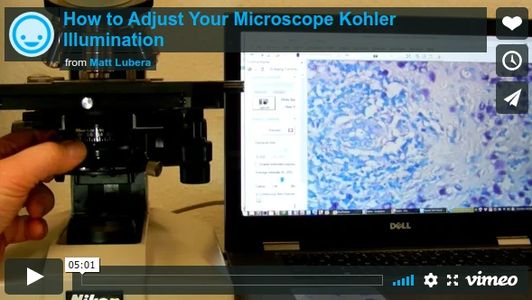 How to Adjust Your Microscope Kohler Illumination video