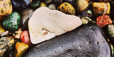 A shell fragment with what looks like an angry eye and eyebrow etched into it by snails or some othe