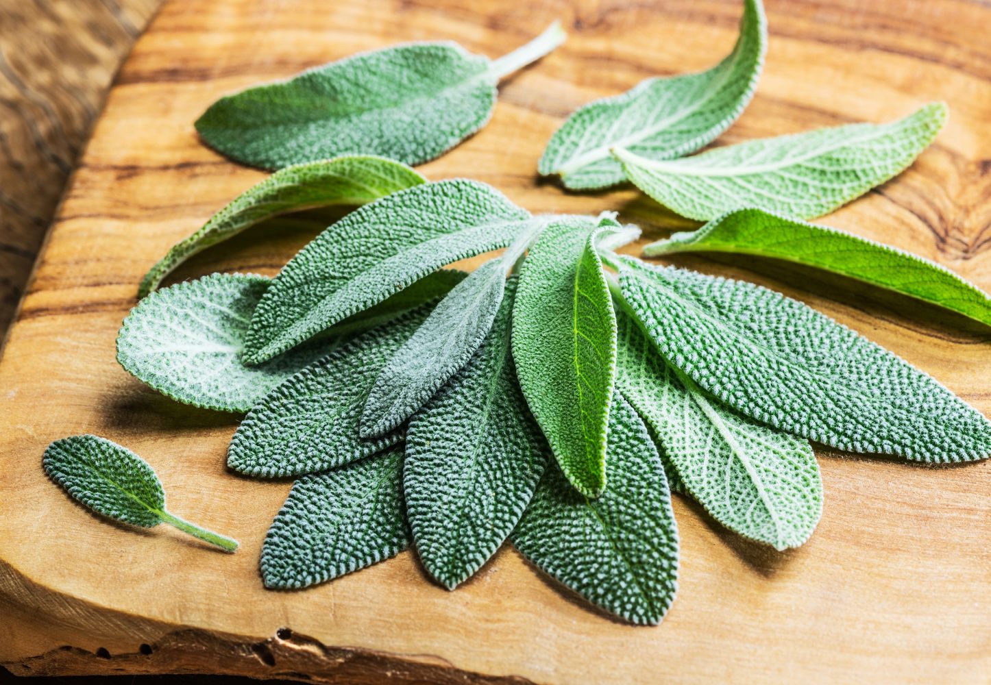 Fresh sage leaves on a rustic wood cutting board