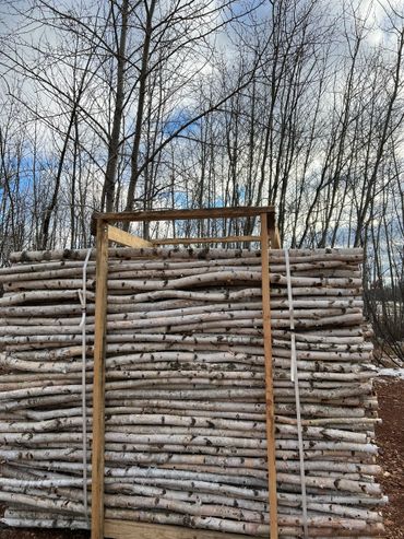 Birch Poles