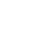 Revolution Training and Martial Arts