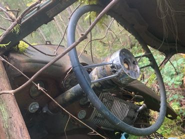 Rusty, abandoned car interior overgrown with moss and surrounded by forest.