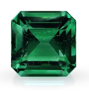 "EmeraldInspectionService"
Emerald