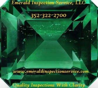 Emerald Inspection Service; Tampa Home Inspector; Lakeland Home Inspector; Dade City Home Inspector