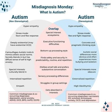 Venn diagram listing both the atypical and typical features of autism