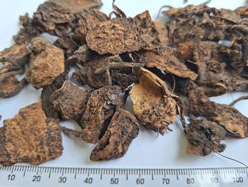 Shredded African Potato with clean light‑brown fibres for immune‑support and wellness products.