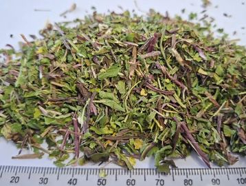 Dried Dandelion 3mm tea‑cut with clean, vibrant herbal pieces ideal for detox and digestive infusion