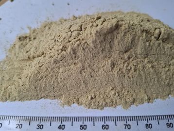 Fine Hoodia gordonii powder with smooth light‑brown texture for appetite‑support and wellness use.