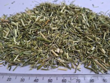 Dried Sutherlandia 3mm tea‑cut with clean green pieces for immune and wellness infusions.