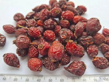 Hand‑picked dried Rosehip pieces with rich red‑orange colour for immune and skin‑health products.