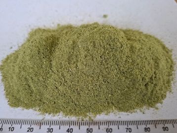 Fine Alfalfa powder with smooth green texture for energy, digestion and wellness formulations.