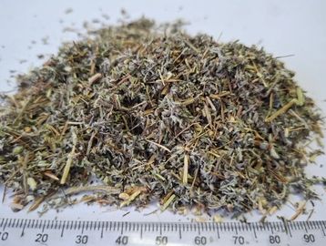 Dried Artemisia afra 3mm tea‑cut showing clean, aromatic herbal pieces for wellness infusions.
