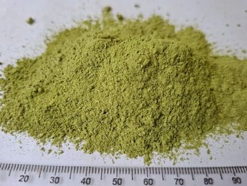 Fine Stinging Nettle powder with smooth green texture for detox, joint‑support and wellness use.