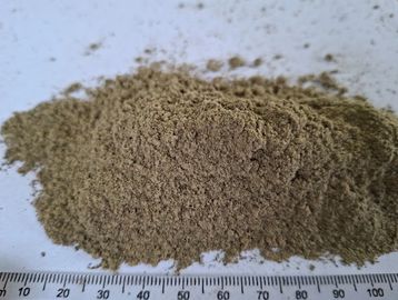 Fine Artemisia afra powder with smooth green‑brown texture for immune and respiratory wellness.