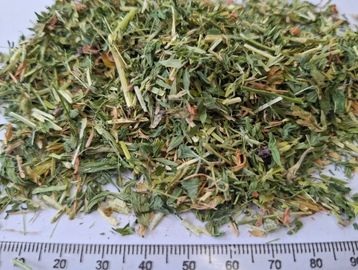Close-up of dried mixed herbs with a ruler for scale.