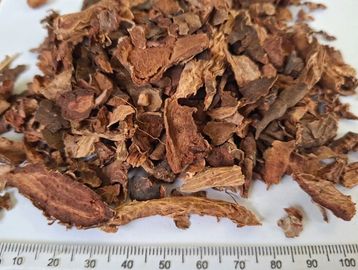 Clean shredded Pelargonium sidoides with light‑brown fibres for immune and respiratory wellness.