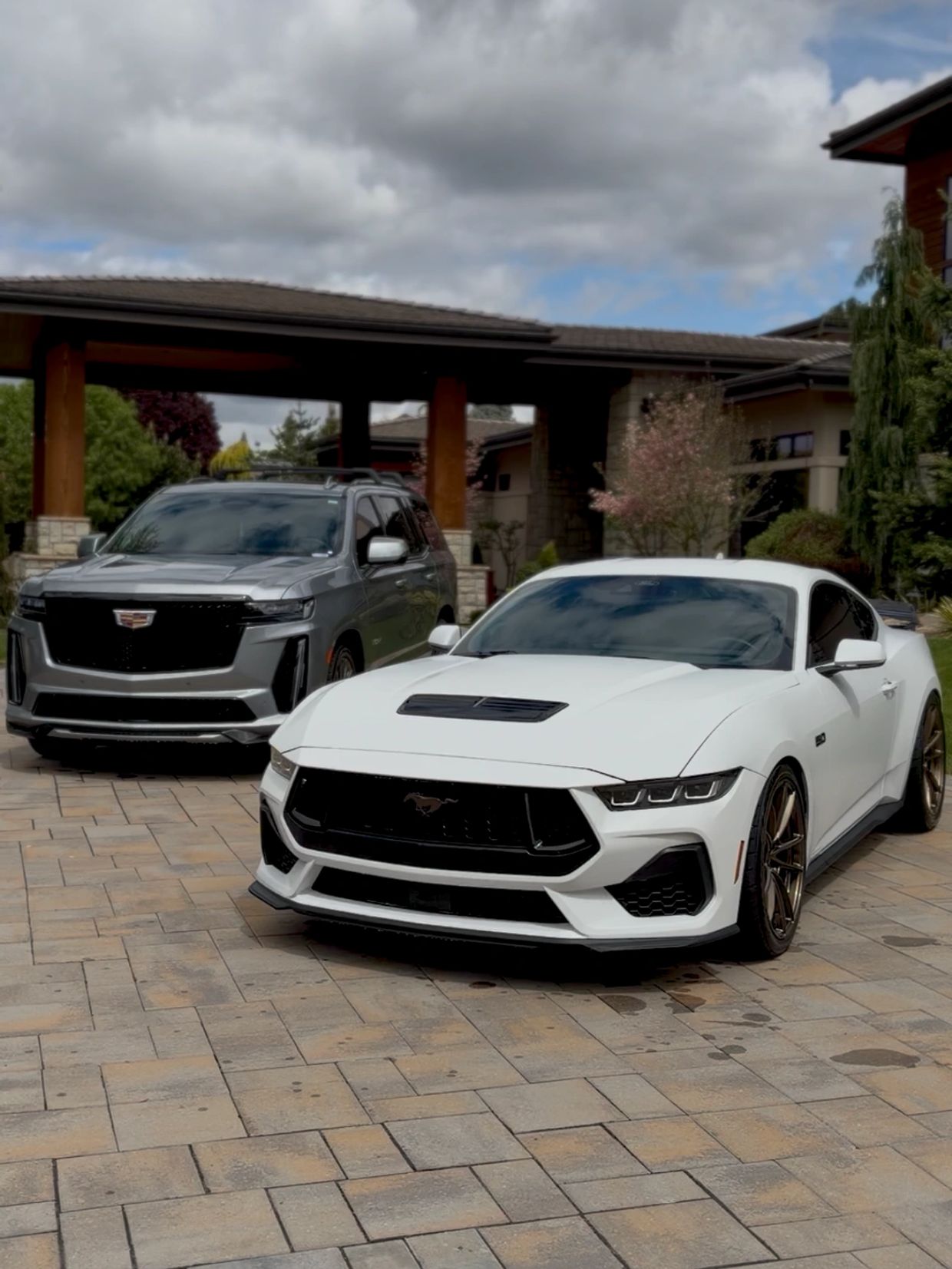 A white Ford Mustang and a gray Cadillac Escalade parked in a driveway.