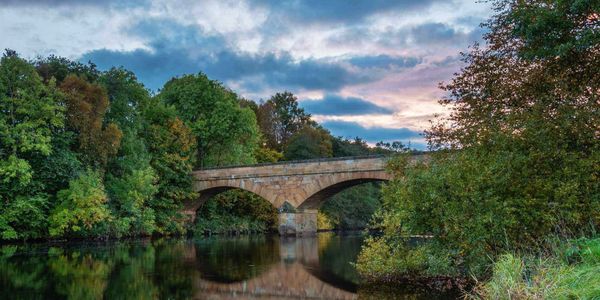 Stone arch bridge over calm river surrounded by lush green trees.