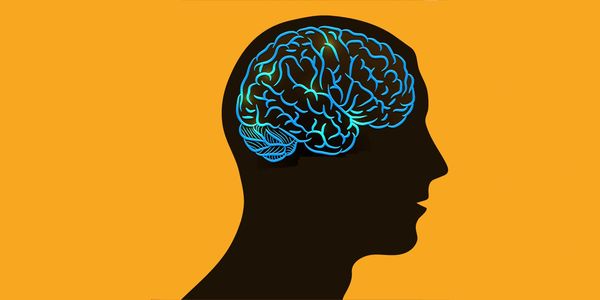 Human Brain Image