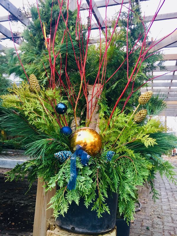 Winter Outdoor Christmas/Holiday Planter