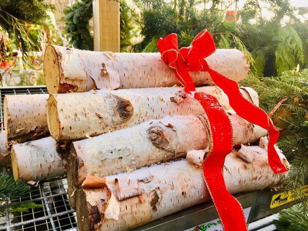 Christmas Decor Birch Branch