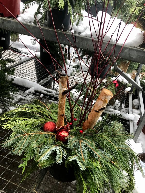 Winter Outdoor Christmas/Holiday Planter