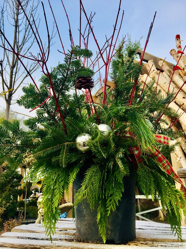 Winter Outdoor Christmas/Holiday Planter