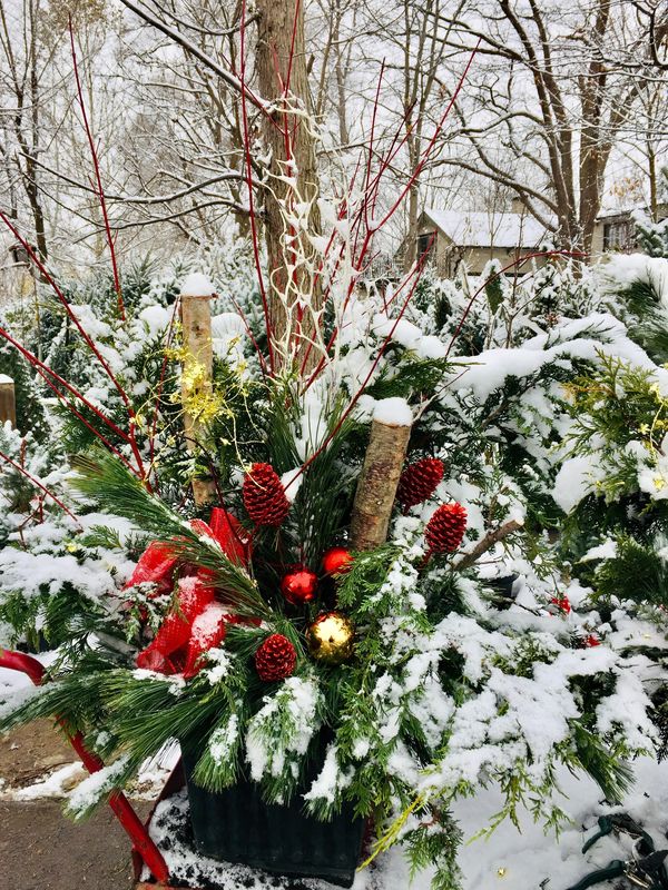 Winter Outdoor Christmas/Holiday Planter