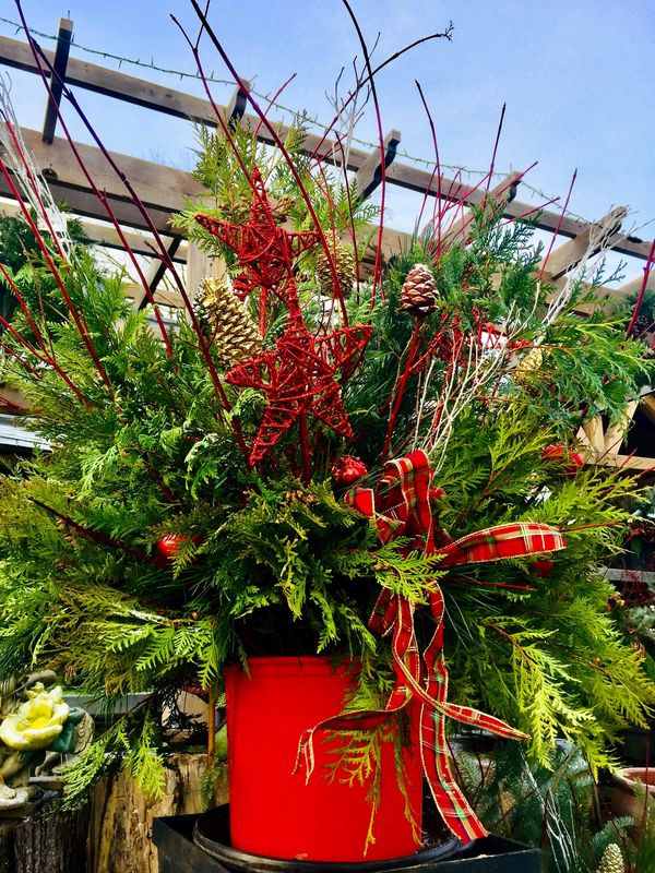 Winter Outdoor Christmas/Holiday Planter