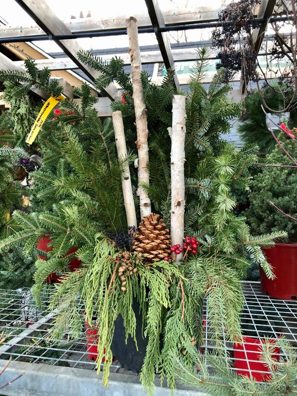 Winter Outdoor Christmas/Holiday Planter