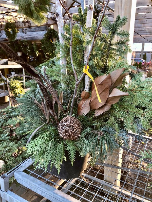 Winter Outdoor Christmas/Holiday Planter