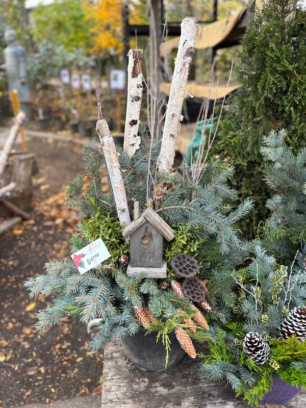 Winter Outdoor Christmas/Holiday Planter