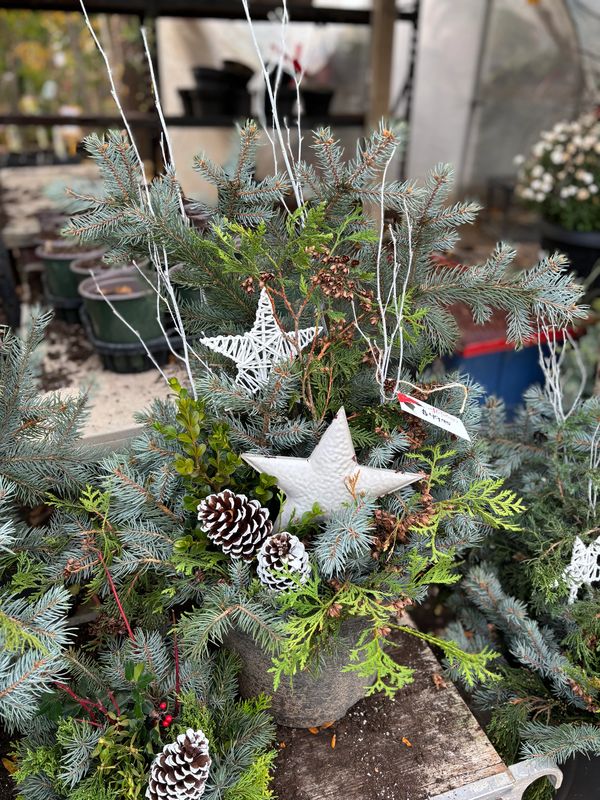 Winter Outdoor Christmas/Holiday Planter