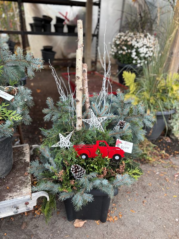 Winter Outdoor Christmas/Holiday Planter