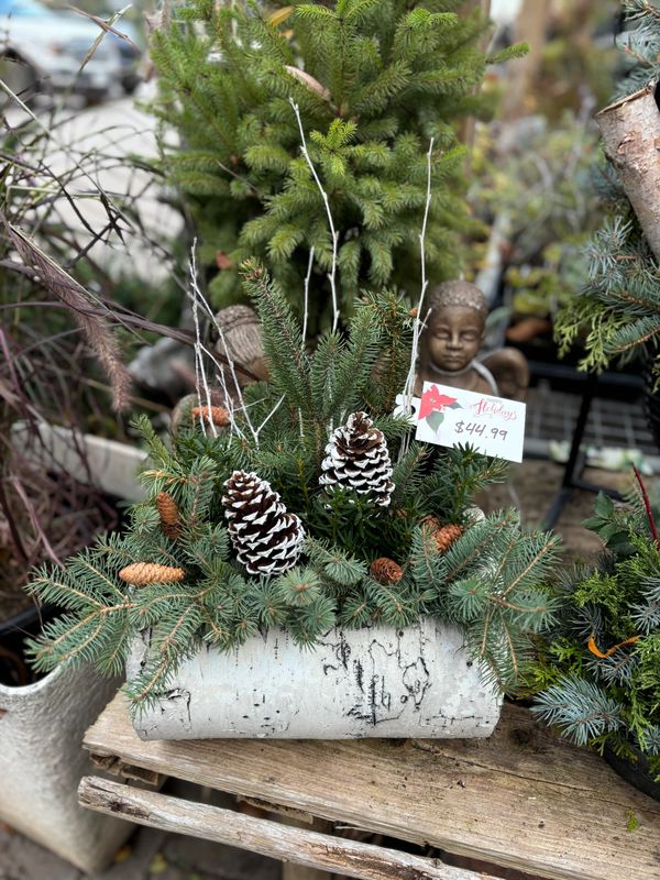 Winter Outdoor Christmas/Holiday Planter