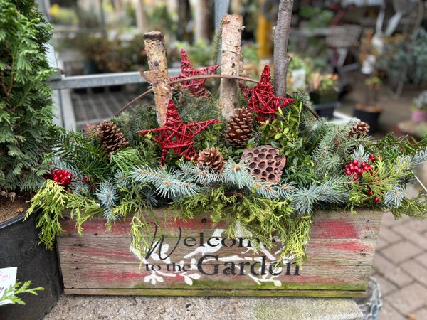Winter Outdoor Christmas/Holiday Planter