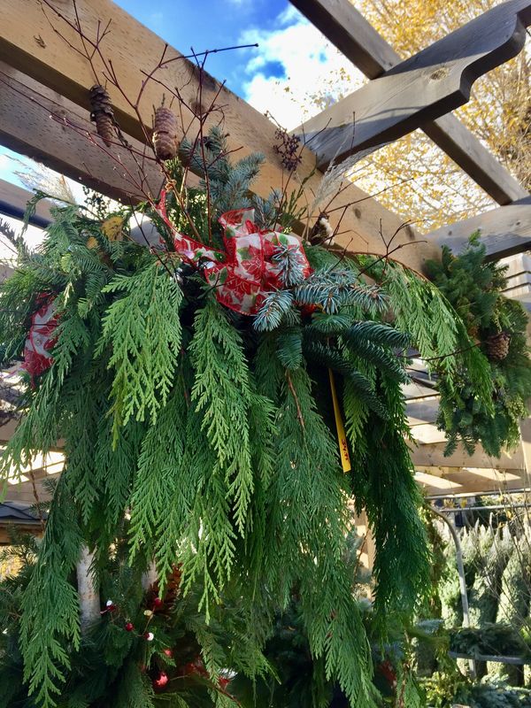 Winter Outdoor Christmas/Holiday Planter
