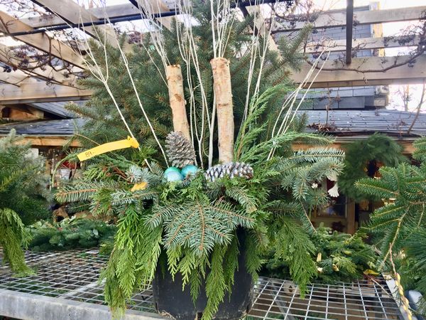 Winter Outdoor Christmas/Holiday Planter