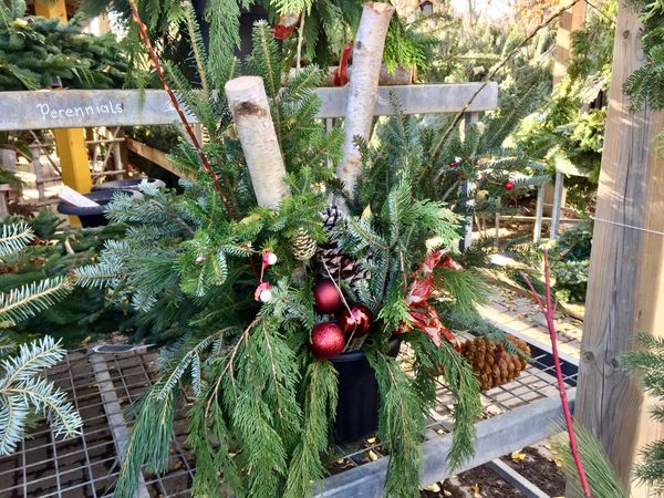 Winter Outdoor Christmas/Holiday Planter