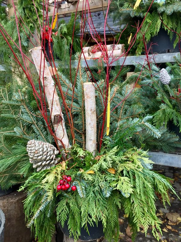 Winter Outdoor Christmas/Holiday Planter