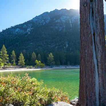 Scenic mountain lake with clear green water and pine trees under a blue sky.