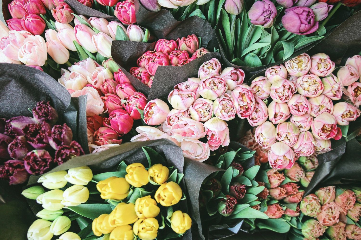 Blessed Blooms Flower Shop and Gifts