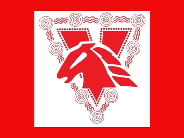 Our Juniors Indigenous Logo