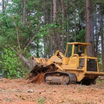 Bulldozer clearing out forested area of debris, trees and brush to prepare the land for construction