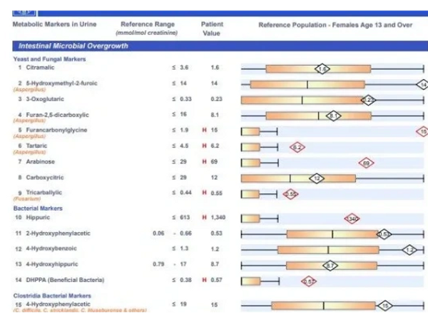 Organic Acids Test for optimal health with Roots of Grace Holistic Wellness