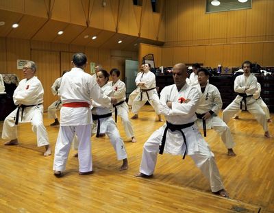 A group of martial artists practicing kata in a dojo.