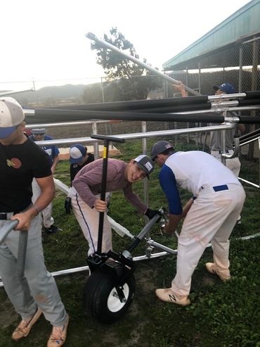 King City putting up cages