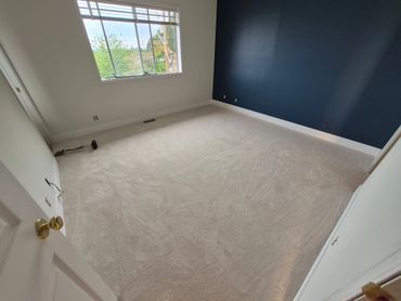 Empty room with fresh beige carpet and navy blue accent wall.