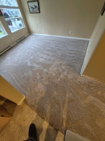 Newly cleaned carpet in an empty room with beige walls and windows.