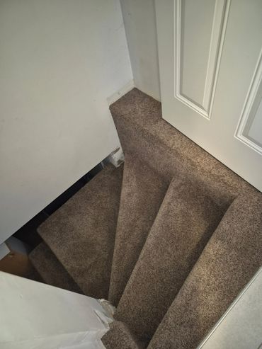 Carpeted indoor stairs with a white door at the top.